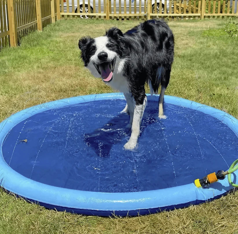 Pup Paradise⢠Sprinkler Pad